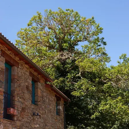Landsted Casa Terra Alma Laza