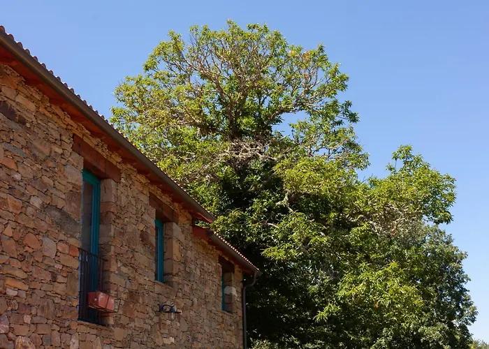 Casa de Campo Casa Terra Alma Laza